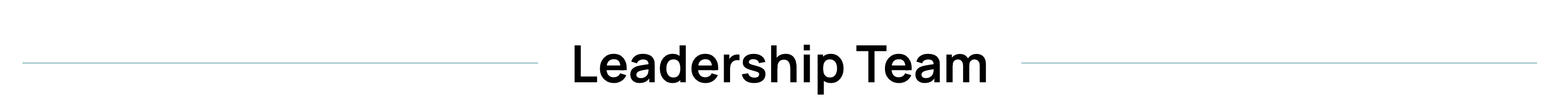 leadership team